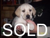 SOLD